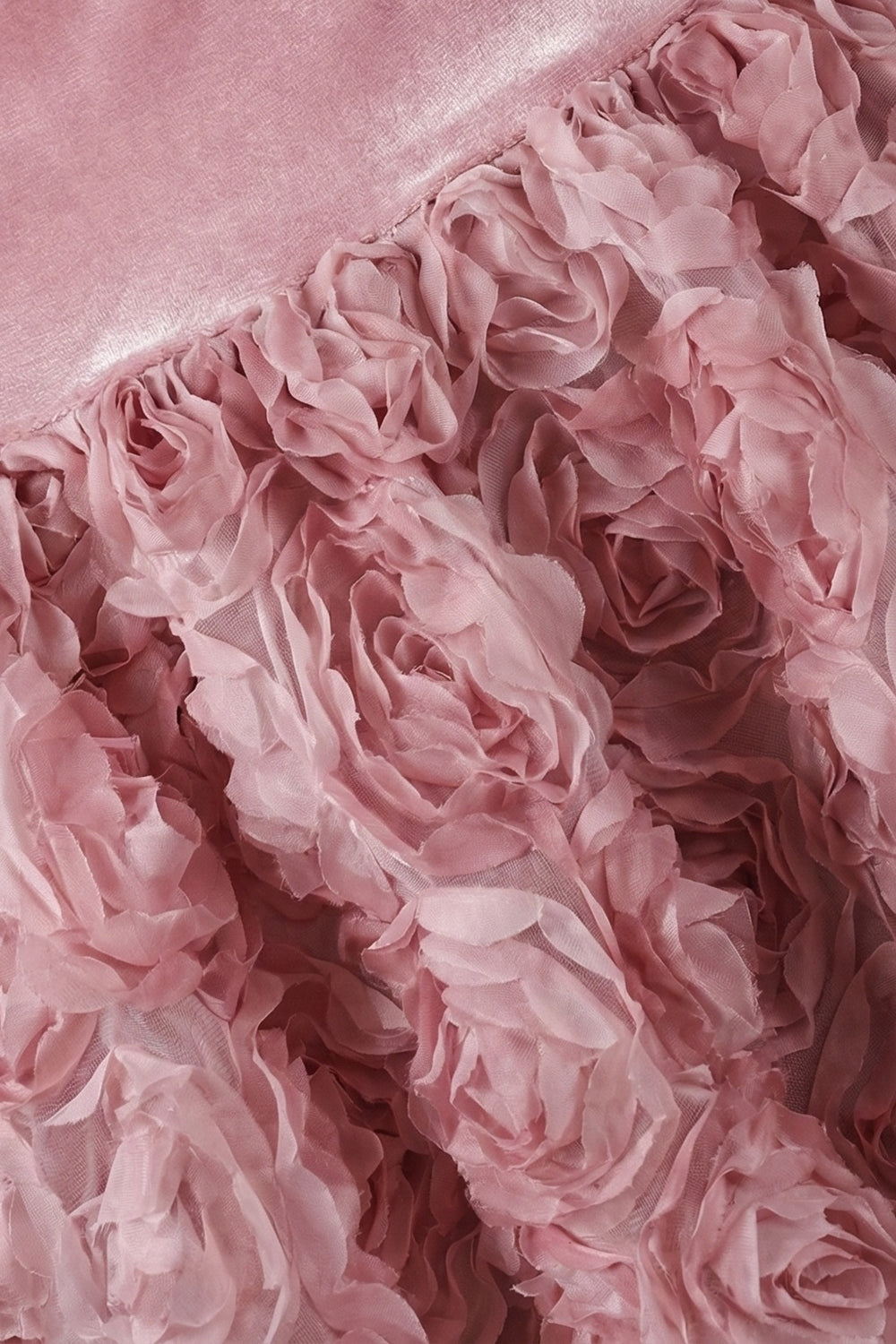 Backless Rose Applique Tulle Gown