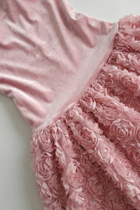 Backless Rose Applique Tulle Gown