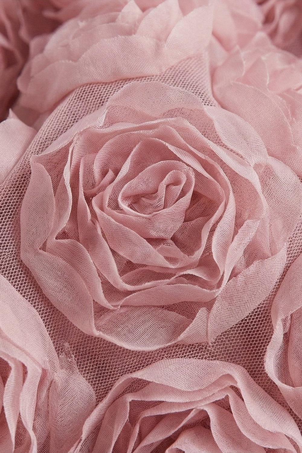 Backless Rose Applique Tulle Gown