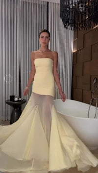 Bandeau Neck Flared Mesh Maxi Dress