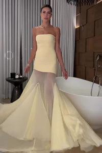 Bandeau Neck Flared Mesh Maxi Dress