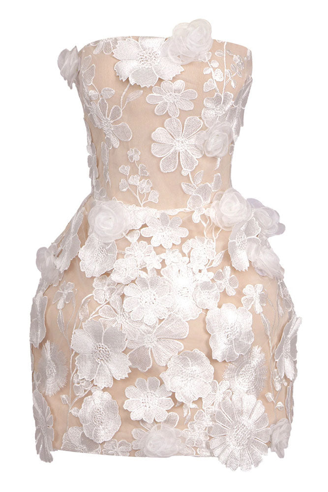 Strapless Floral Embroidered Mini Dress