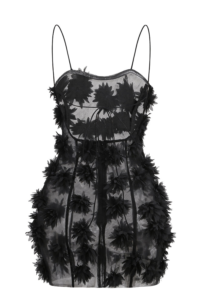 mesh inserted embellished mini dress Pearl Embellished Black Mesh Mini Dress MINKPINK