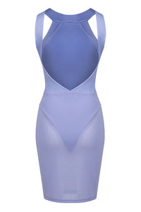 Halter Backless Mesh Bandge Mini Dress