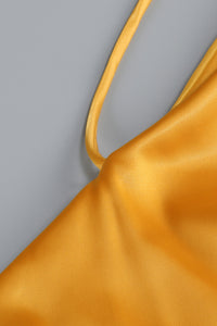 Halterneck Silk Charmeuse Gown in Yellow