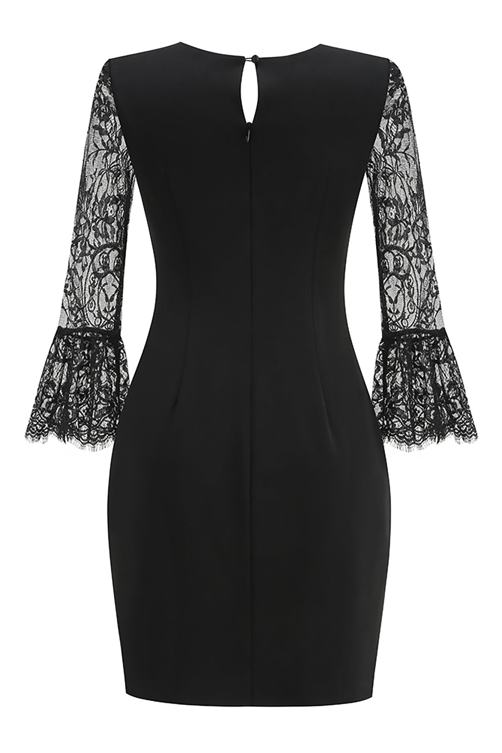 Lace Sleeve Mini Dress