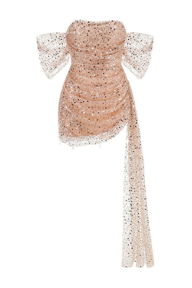 Sequin Embroidered Mesh Mini Dress IULOVER Sequin Embroidered Mesh Mini Dress IULOVER