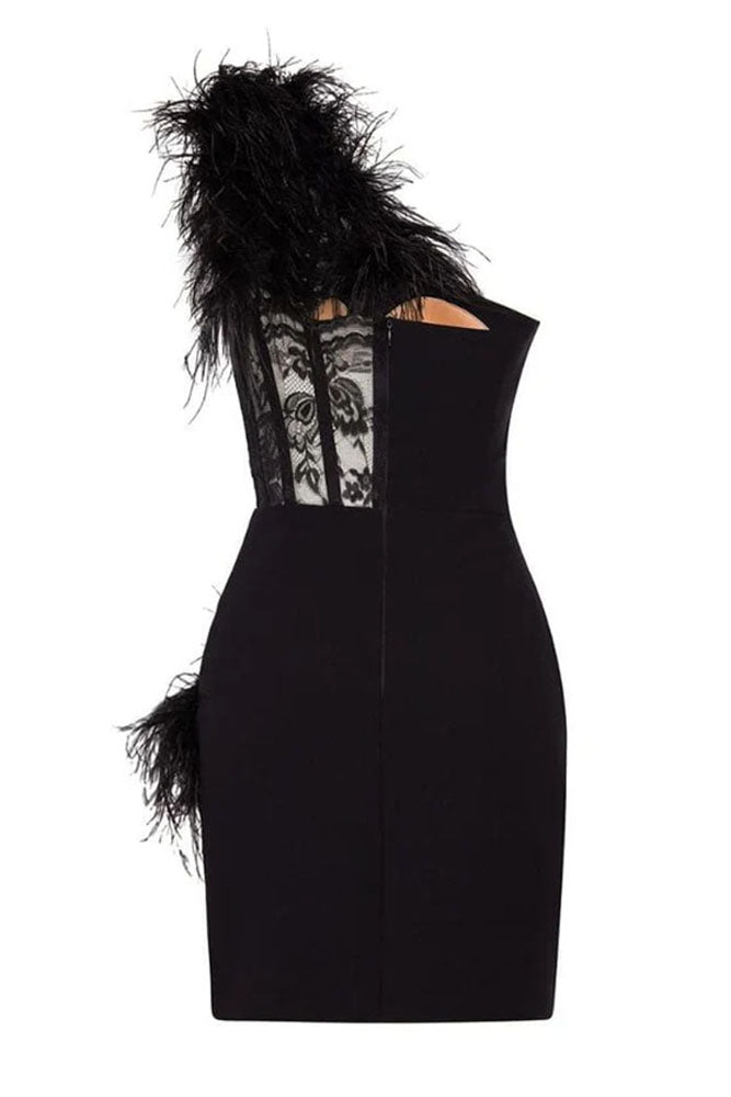 One-Shoulder Feather Corset Mini Dress