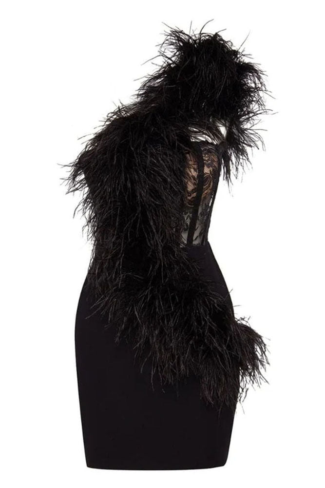 One-Shoulder Feather Corset Mini Dress Black / Medium
