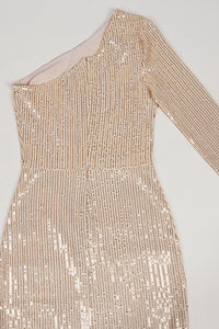 One-shoulder Sequin Embelllished Gown