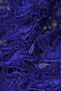 See Through Guisette Lace Mini Dress