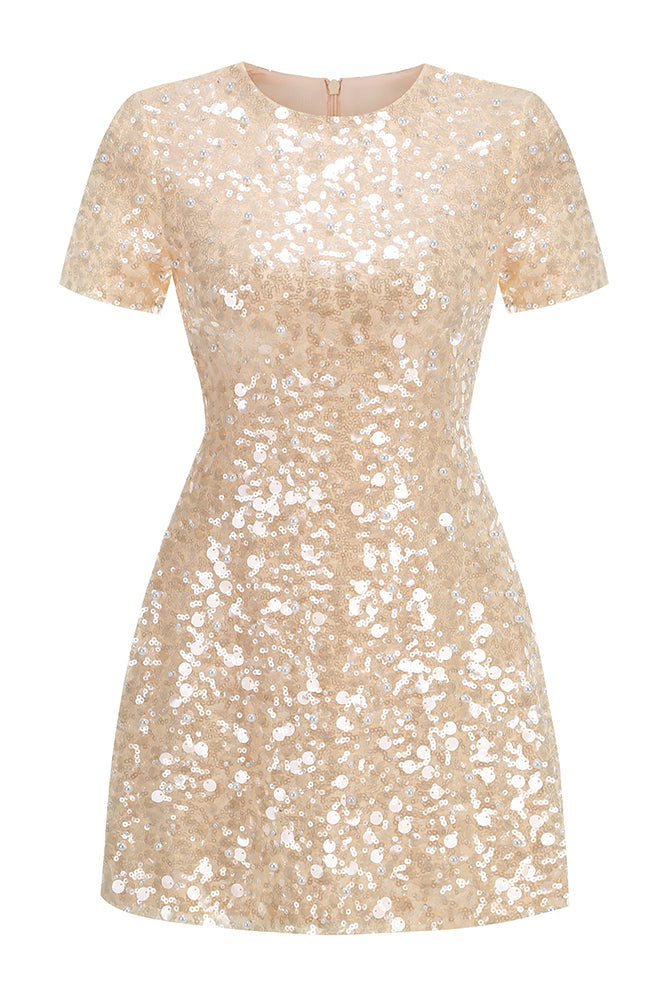 Sequin Pearl Embroidered Short Sleeve Dress IULOVER Sequin Pearl Embroidered Short Sleeve Dress IULOVER