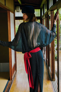 Sheer Polka Dot Dress