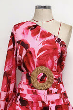Diagonal Collar Long Sleeve Floral Printing Mini Dress