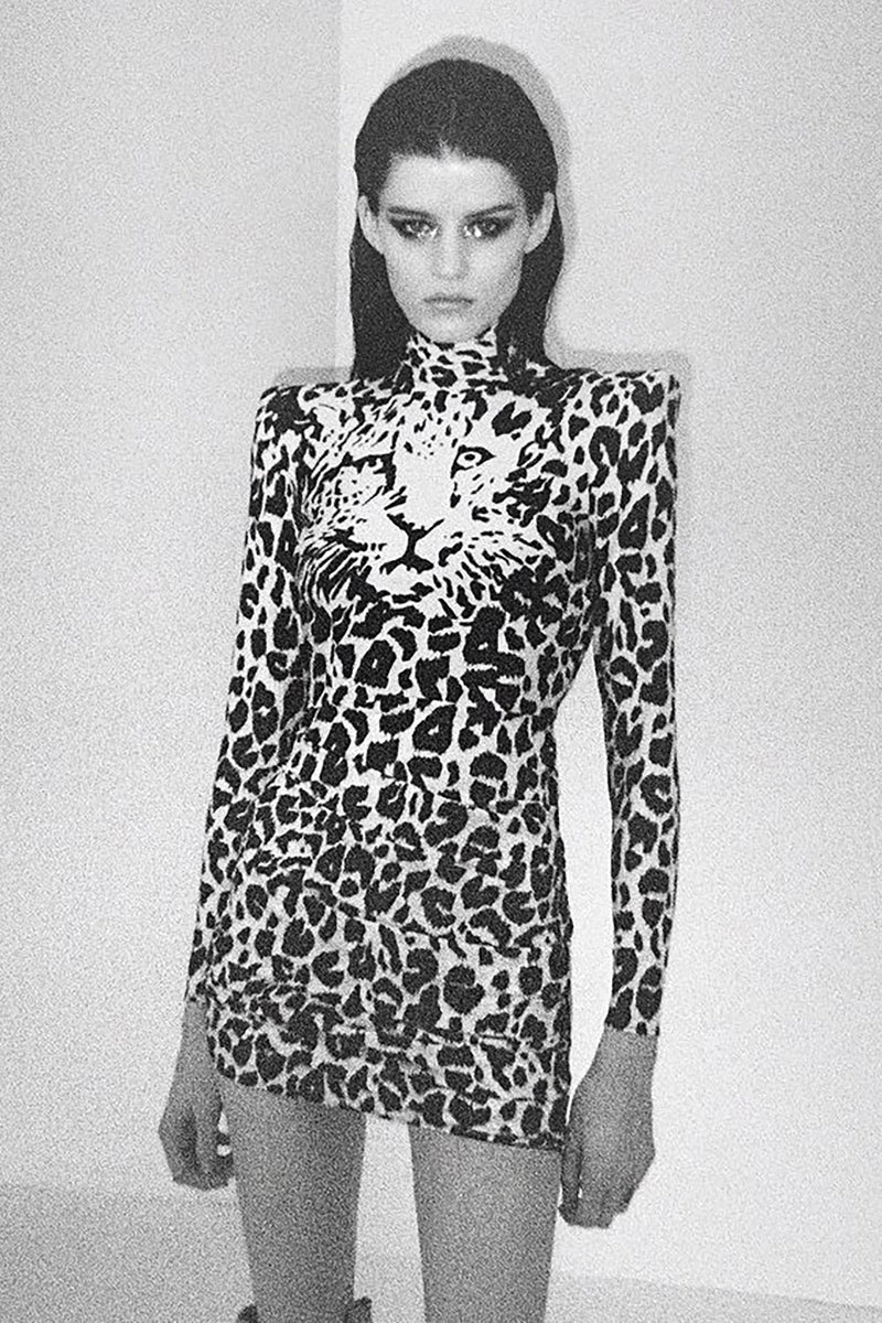 Leopard Print Long Sleeve Mini Dress