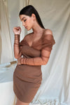 Brown Off The Shoulder Mesh Patchwork Mini Dress - IULOVER